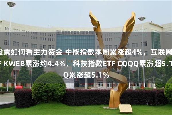 股票如何看主力资金 中概指数本周累涨超4%，互联网ETF KWEB累涨约4.4%，科技指数ETF CQQQ累涨超5.1%