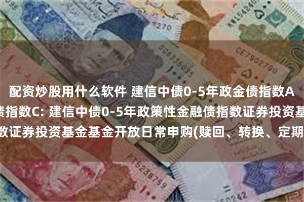 配资炒股用什么软件 建信中债0-5年政金债指数A,建信中债0-5年政金债指数C: 建信中债0-5年政策性金融债指数证券投资基金基金开放日常申购(赎回、转换、定期定额投资)业务公告