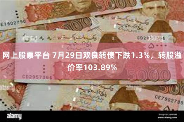 网上股票平台 7月29日双良转债下跌1.3%，转股溢价率103.89%