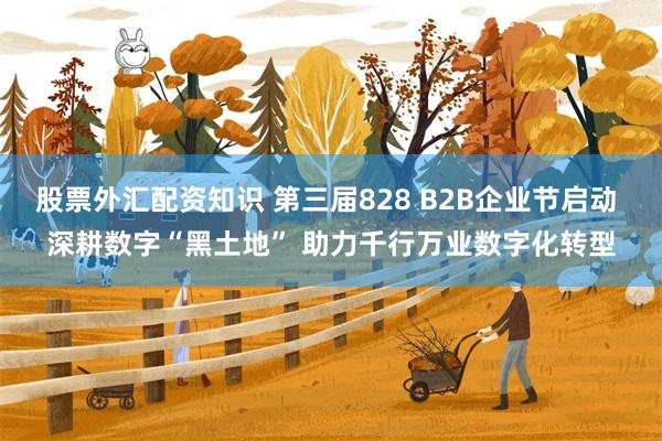 股票外汇配资知识 第三届828 B2B企业节启动 深耕数字“黑土地” 助力千行万业数字化转型