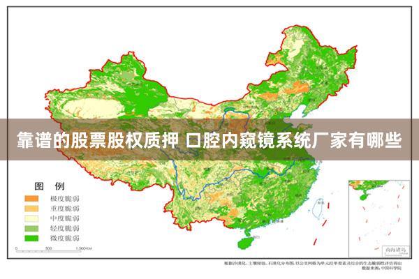 靠谱的股票股权质押 口腔内窥镜系统厂家有哪些