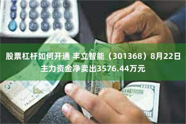 股票杠杆如何开通 丰立智能（301368）8月22日主力资金净卖出3576.44万元