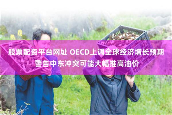 股票配资平台网址 OECD上调全球经济增长预期 警告中东冲突可能大幅推高油价