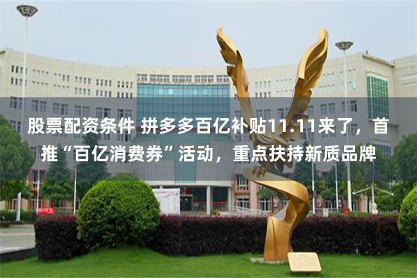 股票配资条件 拼多多百亿补贴11.11来了，首推“百亿消费券”活动，重点扶持新质品牌