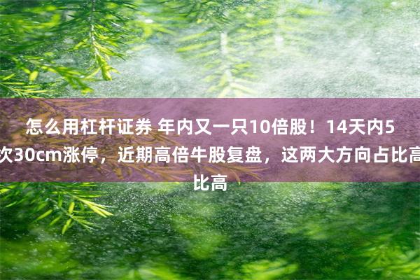 怎么用杠杆证券 年内又一只10倍股！14天内5次30cm涨停，近期高倍牛股复盘，这两大方向占比高