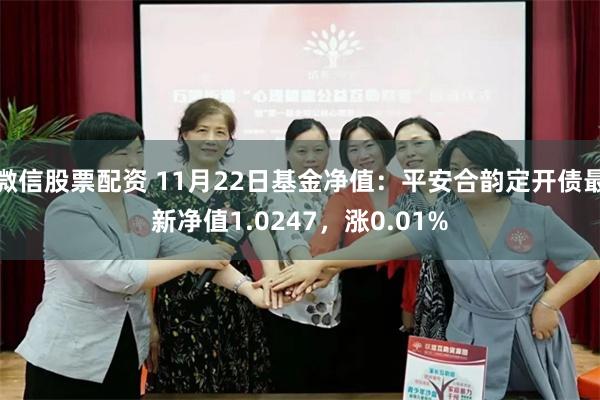 微信股票配资 11月22日基金净值：平安合韵定开债最新净值1.0247，涨0.01%