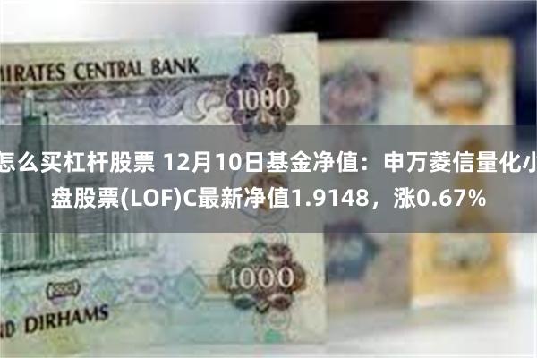 怎么买杠杆股票 12月10日基金净值：申万菱信量化小盘股票(LOF)C最新净值1.9148，涨0.67%