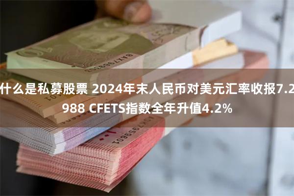 什么是私募股票 2024年末人民币对美元汇率收报7.2988 CFETS指数全年升值4.2%