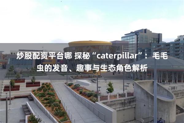 炒股配资平台哪 探秘“caterpillar”：毛毛虫的发音、趣事与生态角色解析