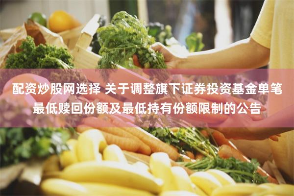 配资炒股网选择 关于调整旗下证券投资基金单笔最低赎回份额及最低持有份额限制的公告