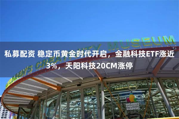 私募配资 稳定币黄金时代开启，金融科技ETF涨近3%，天阳科技20CM涨停