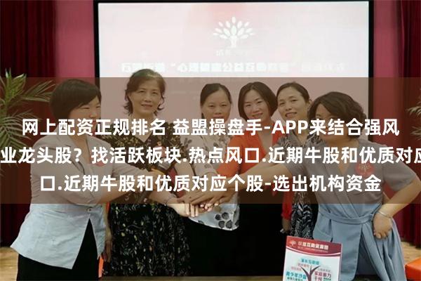 网上配资正规排名 益盟操盘手-APP来结合强风口板块找到相对的行业龙头股？找活跃板块.热点风口.近期牛股和优质对应个股-选出机构资金