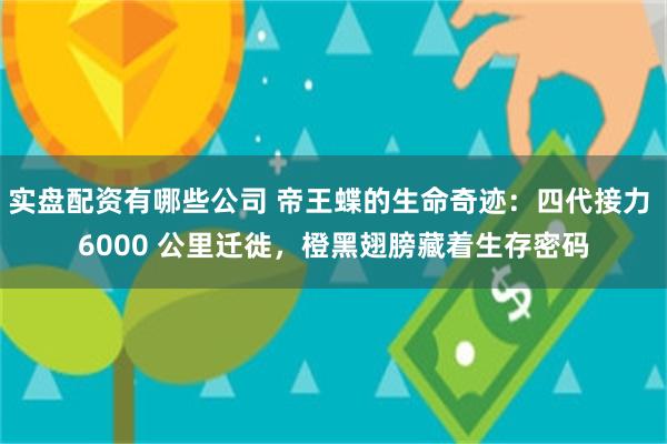 实盘配资有哪些公司 帝王蝶的生命奇迹：四代接力 6000 公里迁徙，橙黑翅膀藏着生存密码